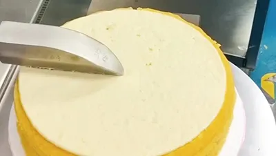 Cake Icing Machine (Single Station)