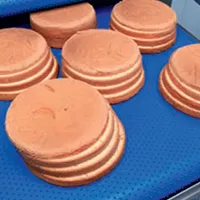 Automatic Syrup Sprayer/Egg Wash Sprayer