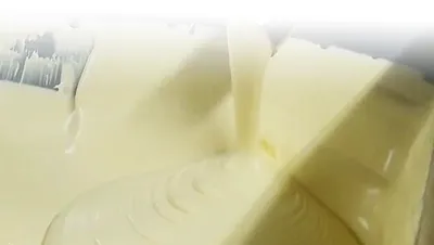 Food Transfer Pump